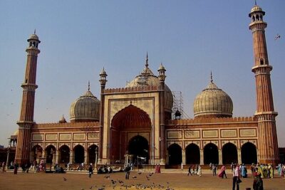 Private Transfer From Delhi Airport to Hotel in New Delhi - Flight Tracking, Waiting, and the Immigration Reality