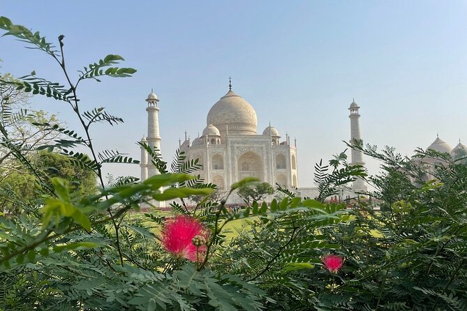 Same Day Tajmahal at Sunrise and SOS wildlife sanctuary tour - Door-to-door Agra comfort from Delhi