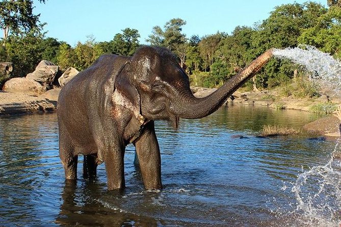 Same Day Tajmahal at Sunrise and SOS wildlife sanctuary tour - Itmad-ud-Daula (Baby Taj): outside views with smart timing