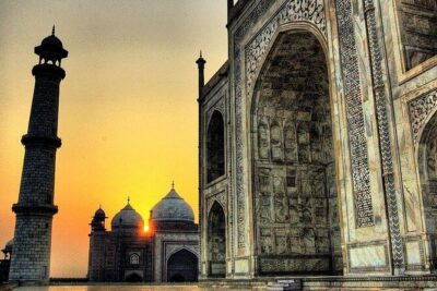 Same day Tajmahal tour with SOS Elephant/Bear wildlife Sanctuary - Taj Mahal With a Real Guide: More Than Just Photos