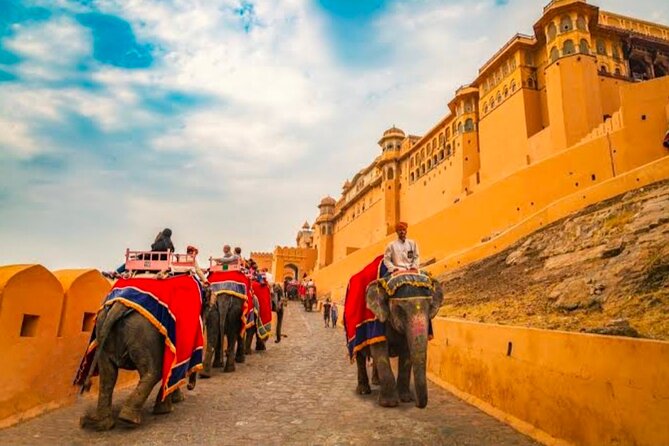 Same Day Tour of Taj Mahal with Our Real Historical Experience - Choosing a start time that actually beats the crowds