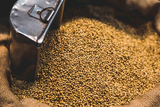 Spice Market & Old Delhi Highlights: Guided 3-Hour Tour - Why this 3-hour Old Delhi route is a smart use of time