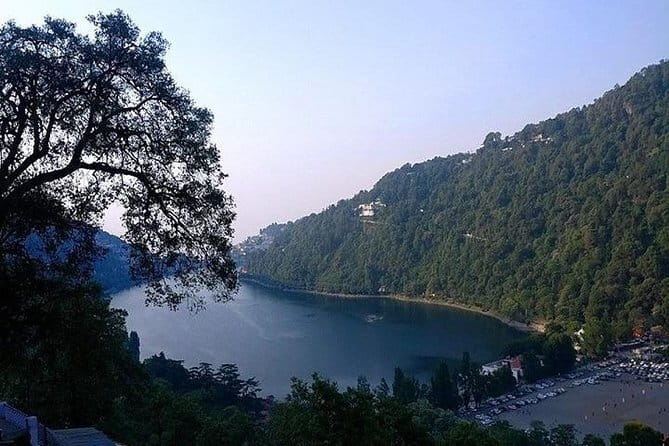 Sultanpur Bird Sanctuary Tour Near Delhi - Should You Book This Sultanpur Bird Sanctuary Tour?