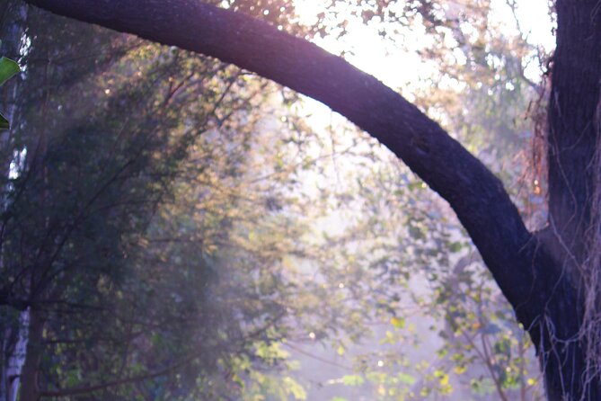 Sunder Nursery Delhi's Heritage Garden Walk Tour - A Mughal Garden With a Practical Purpose
