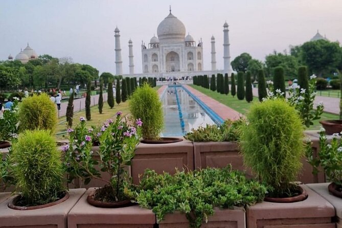 Taj Mahal, Agra Fort & Baby Taj Private Day Trip from Delhi - Should you book the Taj Mahal, Agra Fort & Baby Taj private day trip?