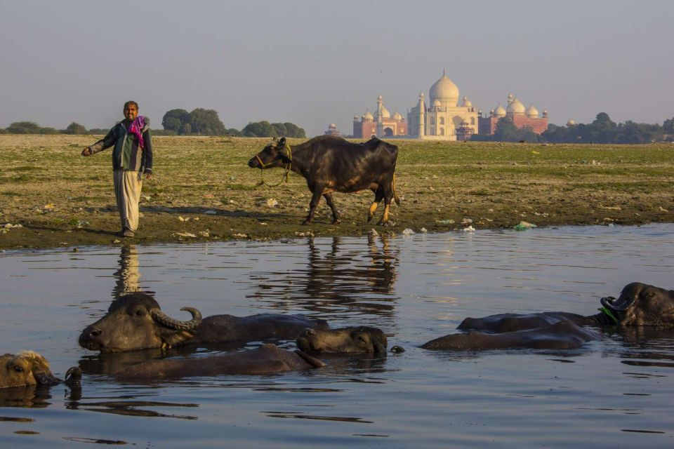 Taj Mahal, Agra Fort Day Tour with Transfers - Entering with a guide: what the Taj visit is really about
