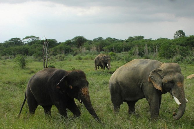 Taj Mahal, Agra Fort & Elephant Rescue Sanctuary Private Day Trip - Taj Mahal With a Personal Guide and Included Entry