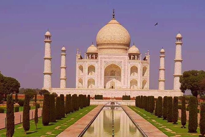 Taj Mahal, Agra Fort,Akbar's Tomb & Baby Taj Day Trip from Delhi - Taj Mahal at touring pace: getting the best views in about two hours