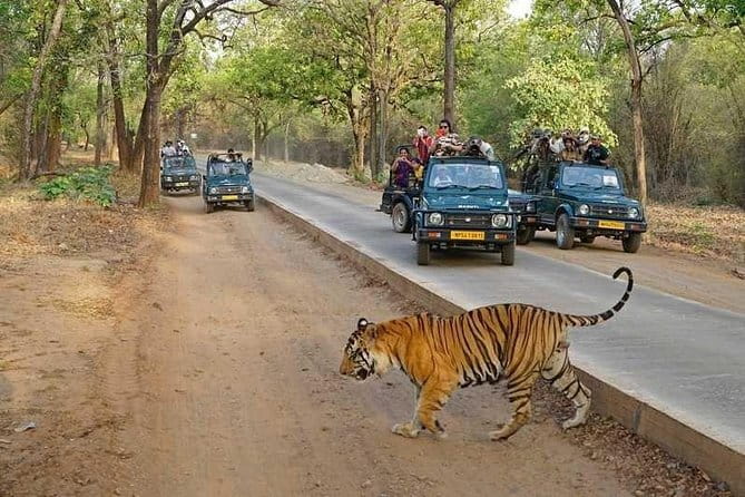 Taj Mahal & Agra Private Day Tour from New Delhi by Car with Meal - Price and value check: what $10 can mean for you