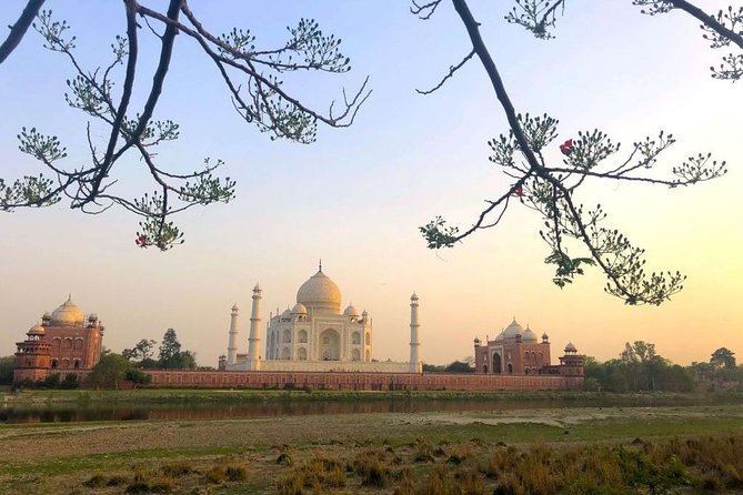 Taj Mahal Sharing Same Day Trip From Delhi Including all - Who this Delhi-to-Agra day trip is best for