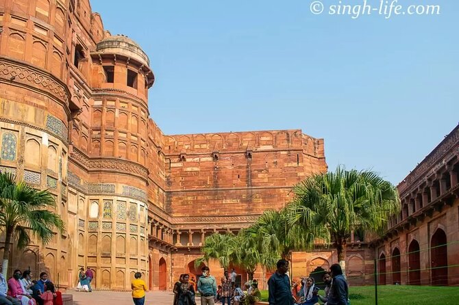 Taj Mahal Sunrise Tour with Elephant Conservation From Delhi - Elephant Conservation & Care at SOS Wildlife: Meaningful, Not Just Another Stop