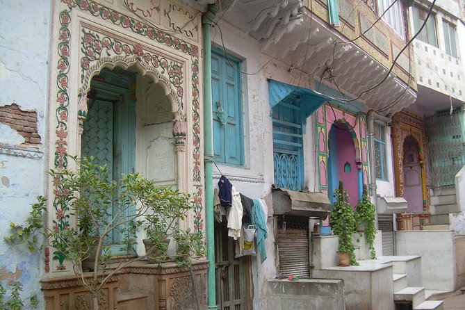 Vegan Food and walking tour in Delhi - Fitness Consideration: Moderate Walking Comfort