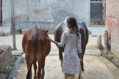 Village Snapshot - Pure and simple - Sonipat: Local Train, Village Walk, and a Real River Swim