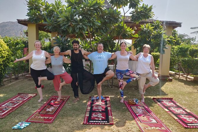Yoga class in Delhi - A Private Hatha Yoga Session in Lodhi Gardens